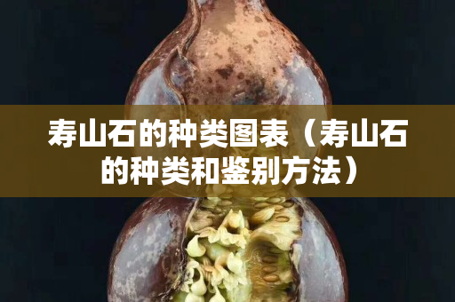 壽山石的種類圖表（壽山石的種類和鑒別方法）