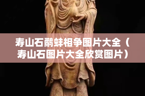 壽山石鷸蚌相爭圖片大全（壽山石圖片大全欣賞圖片）