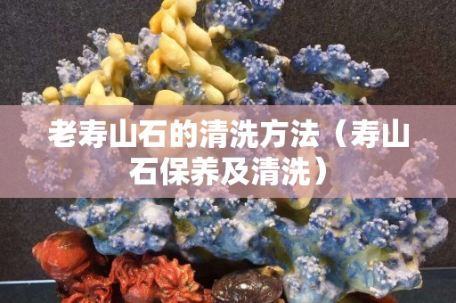老壽山石的清洗方法（壽山石保養及清洗）