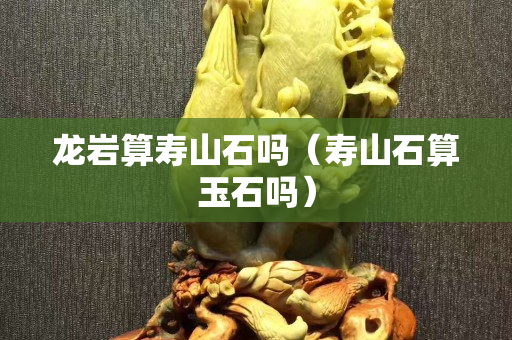 龍巖算壽山石嗎（壽山石算玉石嗎）