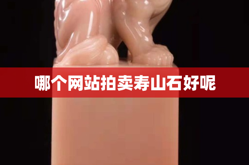 哪個網(wǎng)站拍賣壽山石好呢