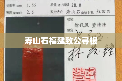 壽山石福建致公尋根