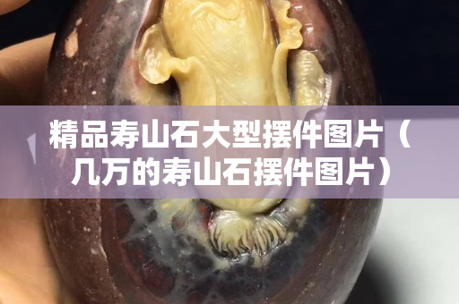 精品壽山石大型擺件圖片（幾萬的壽山石擺件圖片）