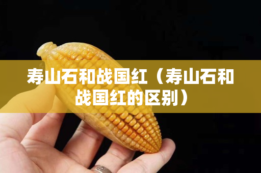 壽山石和戰國紅（壽山石和戰國紅的區別）