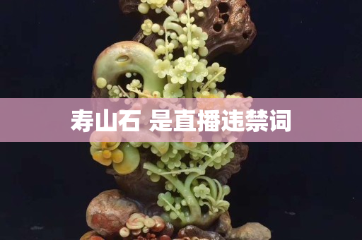 壽山石 是直播違禁詞