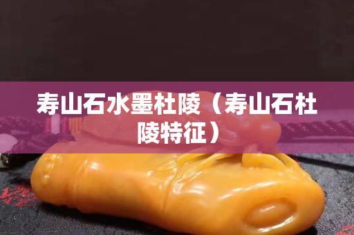 壽山石水墨杜陵（壽山石杜陵特征）