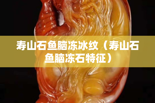 壽山石魚(yú)腦凍冰紋（壽山石魚(yú)腦凍石特征）