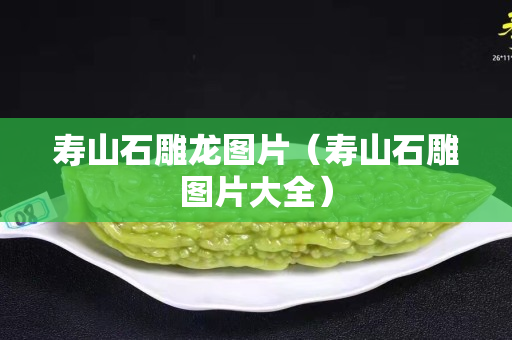 壽山石雕龍圖片（壽山石雕圖片大全）
