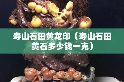 壽山石田黃龍印（壽山石田黃石多少錢一克）