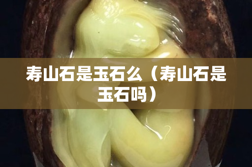 壽山石是玉石么（壽山石是玉石嗎）