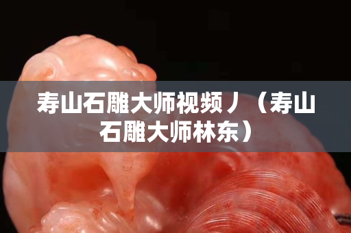 壽山石雕大師視頻丿（壽山石雕大師林東）