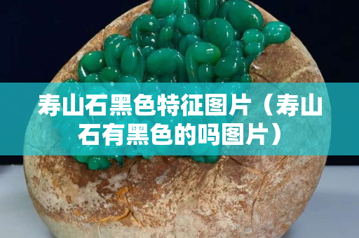 壽山石黑色特征圖片（壽山石有黑色的嗎圖片）