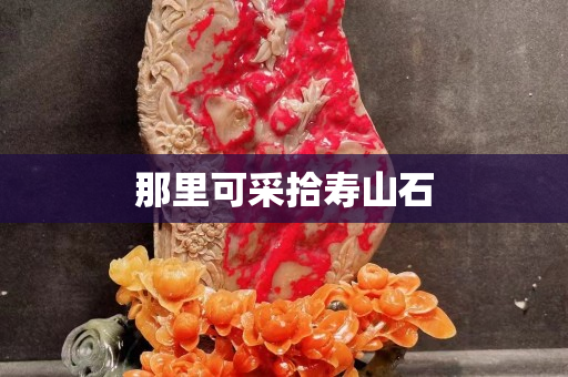 那里可采拾壽山石