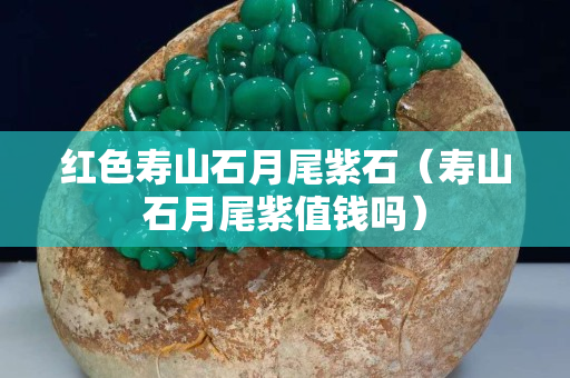 紅色壽山石月尾紫石（壽山石月尾紫值錢嗎）