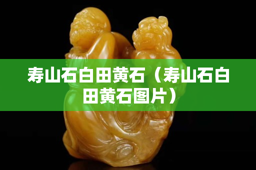 壽山石白田黃石（壽山石白田黃石圖片）