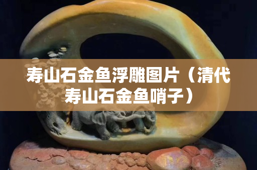 壽山石金魚浮雕圖片（清代壽山石金魚哨子）