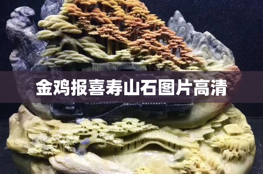 金雞報喜壽山石圖片高清