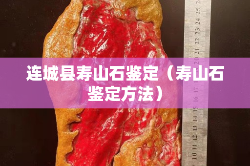 連城縣壽山石鑒定（壽山石鑒定方法）