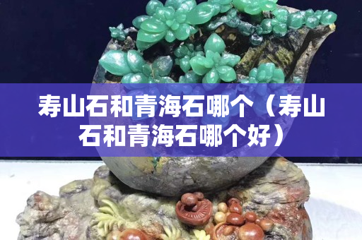 壽山石和青海石哪個（壽山石和青海石哪個好）