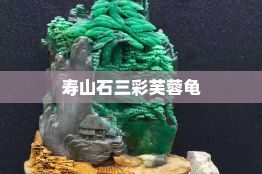 壽山石三彩芙蓉龜