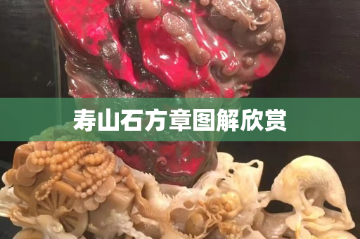 壽山石方章圖解欣賞