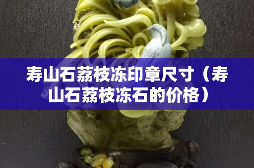 壽山石荔枝凍印章尺寸（壽山石荔枝凍石的價格）