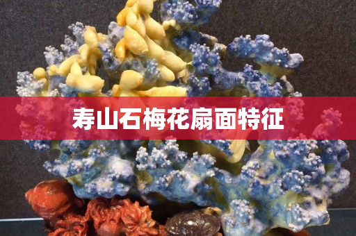 壽山石梅花扇面特征