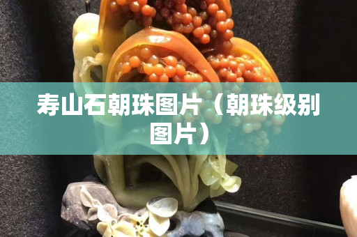 壽山石朝珠圖片（朝珠級別圖片）