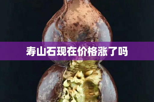 壽山石現(xiàn)在價(jià)格漲了嗎