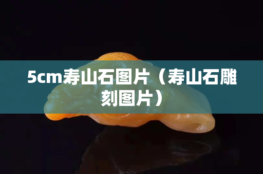 5cm壽山石圖片（壽山石雕刻圖片）