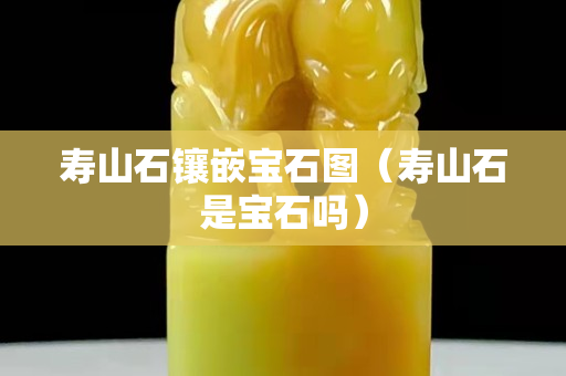 壽山石鑲嵌寶石圖（壽山石是寶石嗎）