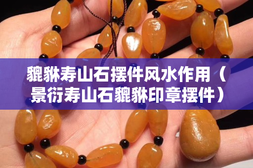 貔貅壽山石擺件風(fēng)水作用（景衍壽山石貔貅印章擺件）