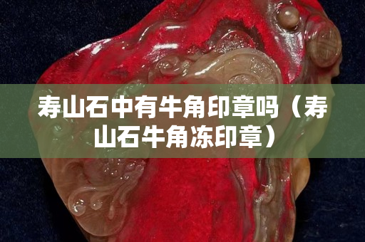 壽山石中有牛角印章嗎（壽山石牛角凍印章）