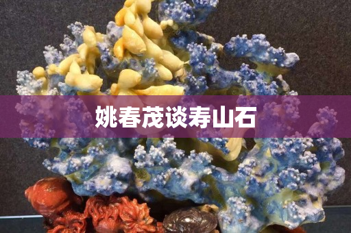 姚春茂談壽山石