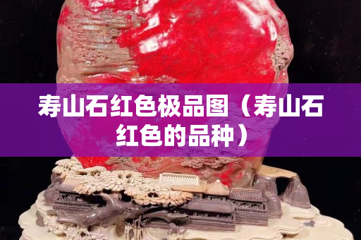 壽山石紅色極品圖（壽山石紅色的品種）