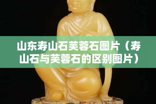 山東壽山石芙蓉石圖片（壽山石與芙蓉石的區(qū)別圖片）