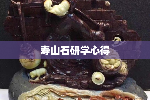 壽山石研學心得