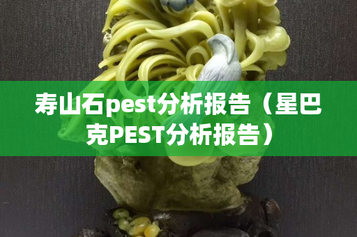 壽山石pest分析報告（星巴克PEST分析報告）