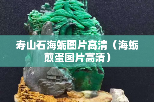 壽山石海蠣圖片高清（海蠣煎蛋圖片高清）