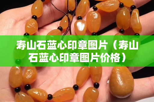 壽山石藍心印章圖片（壽山石藍心印章圖片價格）