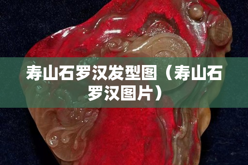 壽山石羅漢發(fā)型圖（壽山石羅漢圖片）
