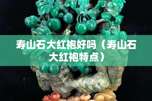 壽山石大紅袍好嗎（壽山石大紅袍特點）