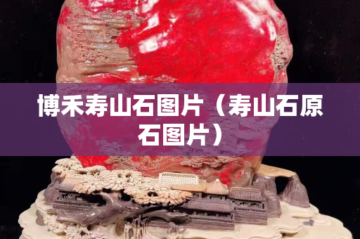 博禾壽山石圖片（壽山石原石圖片）
