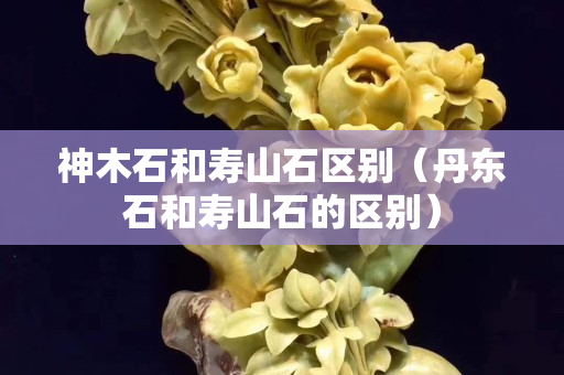 神木石和壽山石區(qū)別（丹東石和壽山石的區(qū)別）