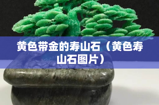 黃色帶金的壽山石（黃色壽山石圖片）