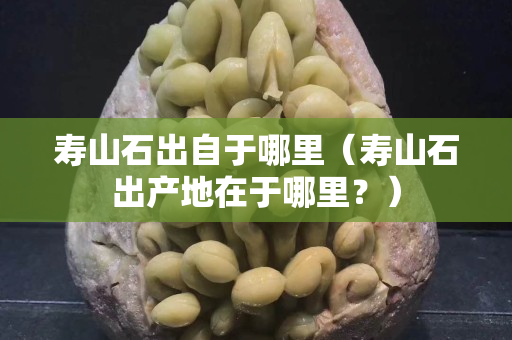 壽山石出自于哪里（壽山石出產地在于哪里？）
