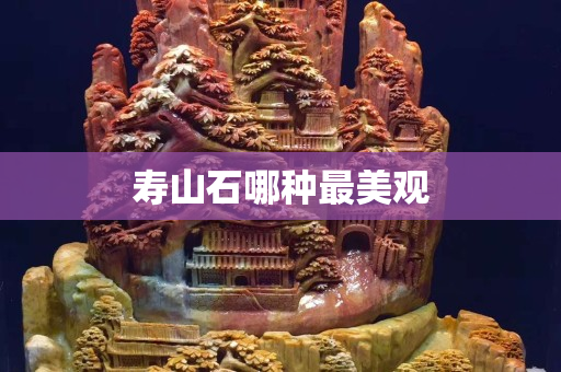壽山石哪種最美觀