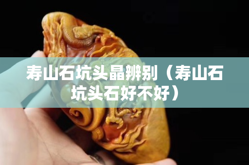 壽山石坑頭晶辨別（壽山石坑頭石好不好）
