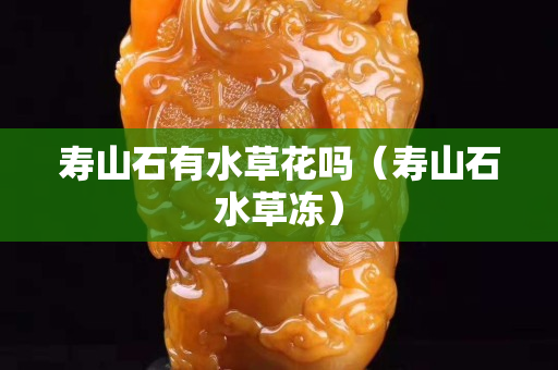 壽山石有水草花嗎（壽山石水草凍）