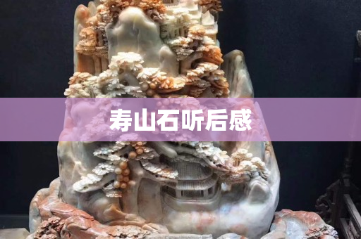 壽山石聽(tīng)后感